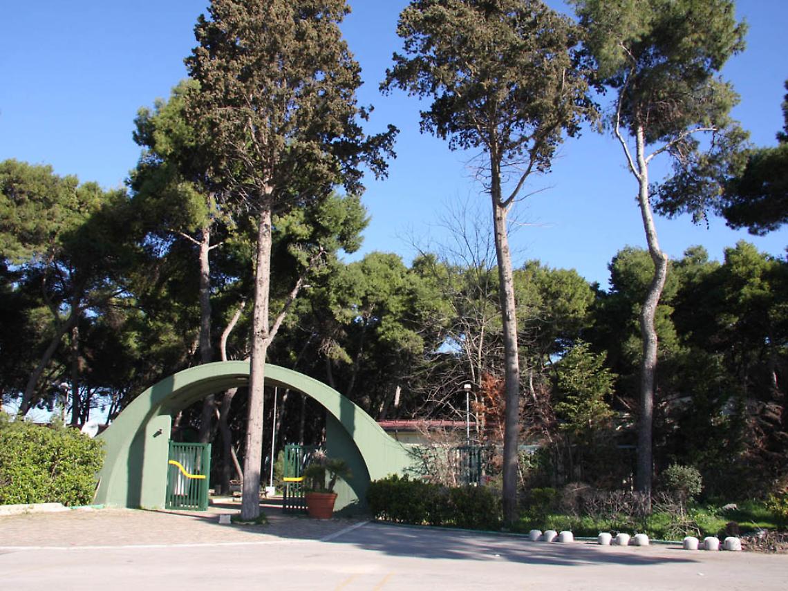 Parco Cimino