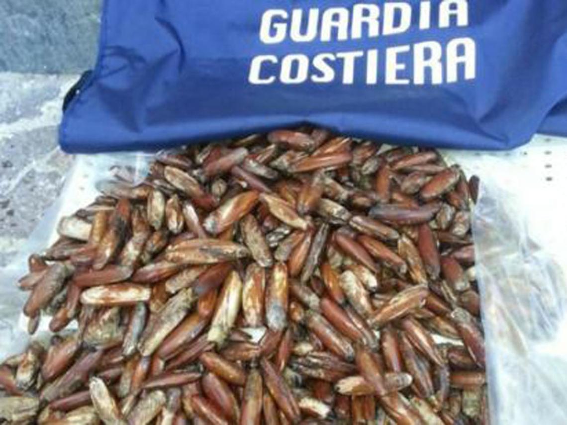 Datteri di mare