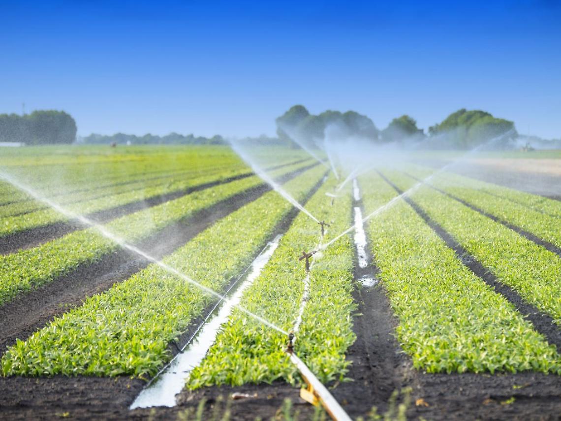 Agricoltura senza acqua