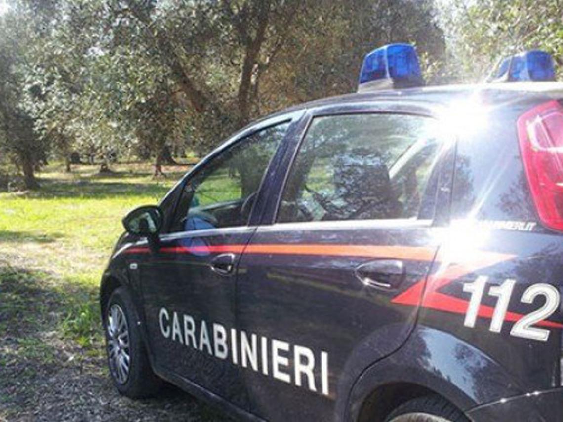Furti nelle campagne