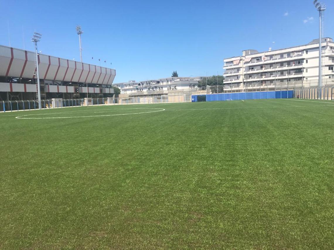 stadio iacovone