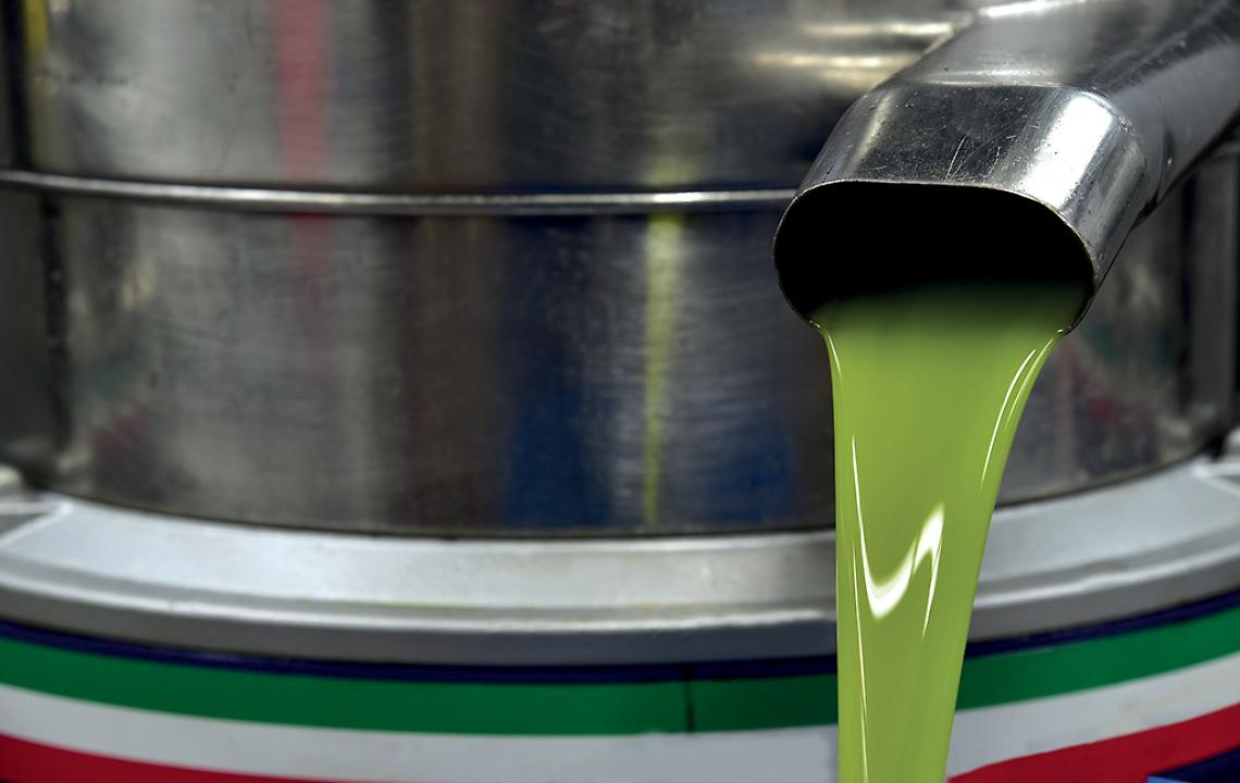Olio di oliva extravergine