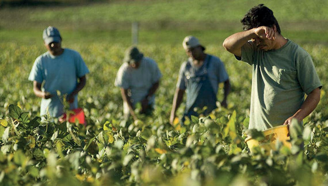 Lavoratori agricoli