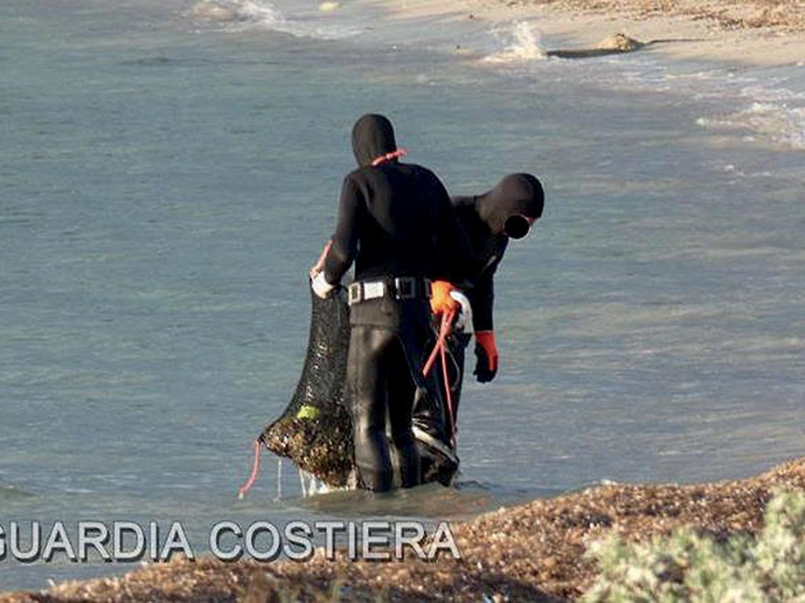Traffico di olutrie di mare, 17 arresti