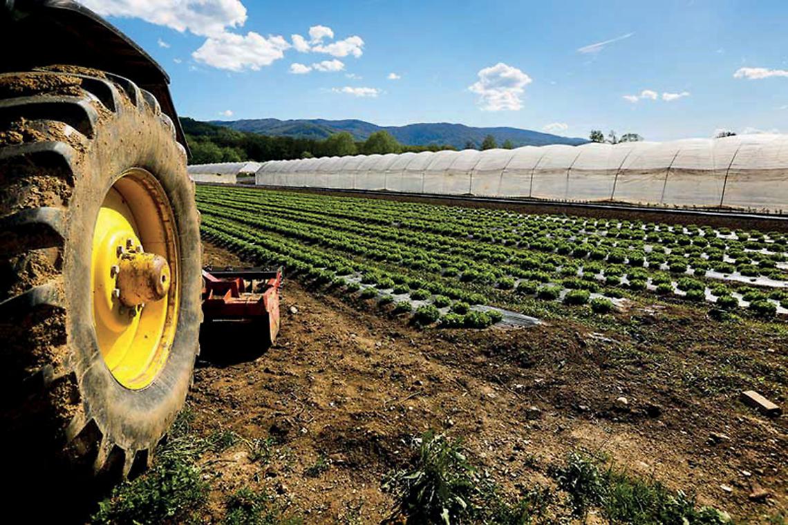 Agricoltura