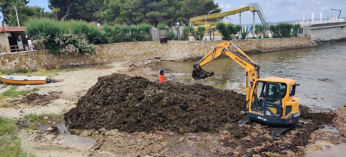Pulizia delle biomasse a San Vito