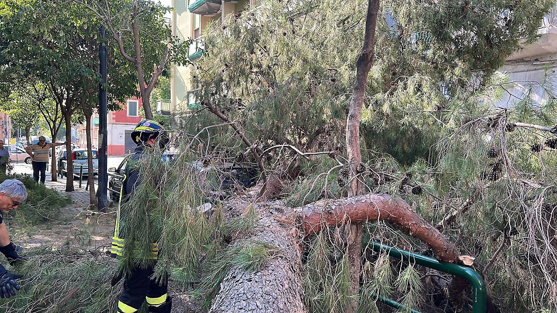 Vento forte e alberi caduti: disagi alla circolazione e strade chiuse
