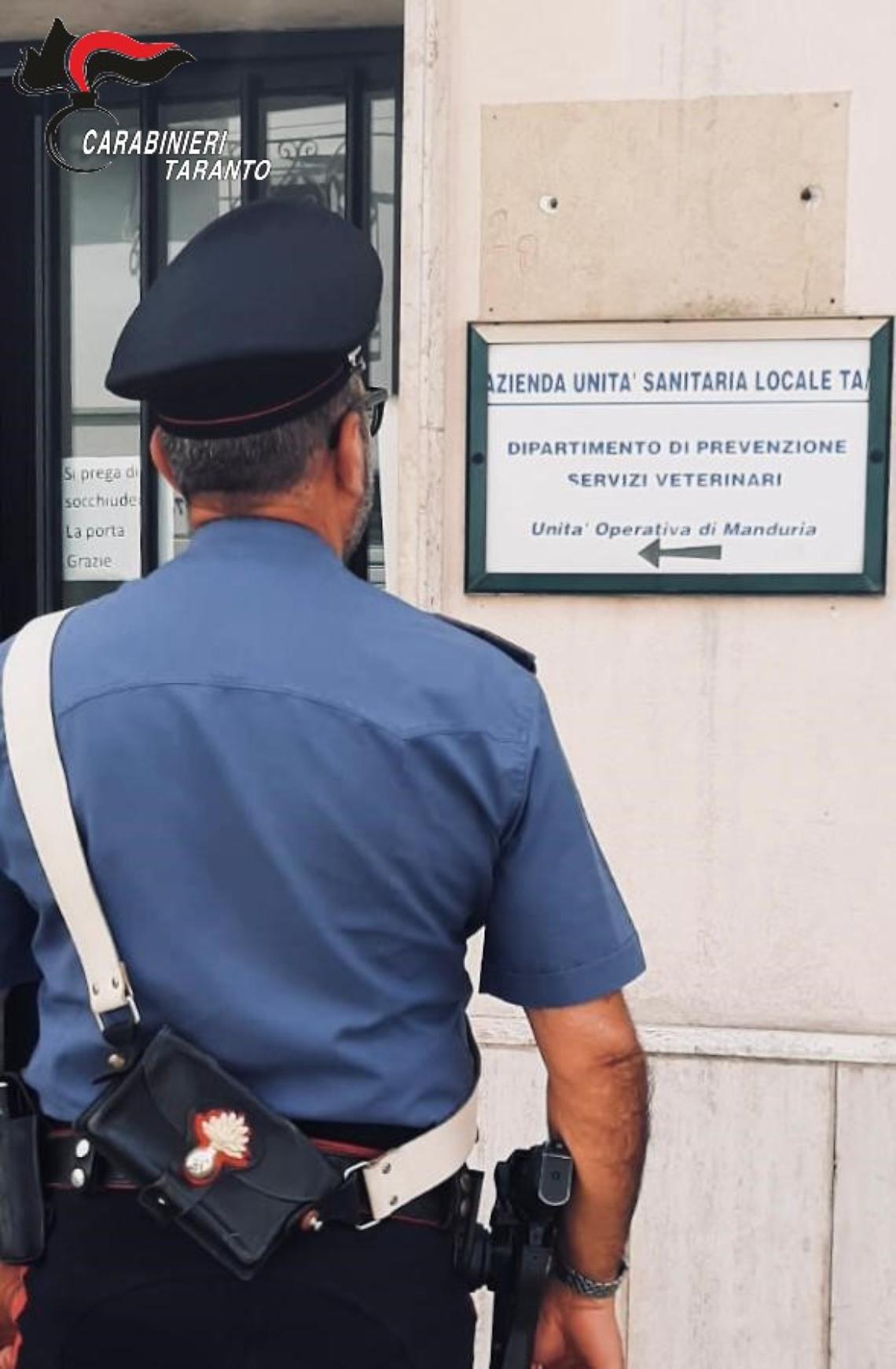 La sede dei servizi veterinari della Asl
