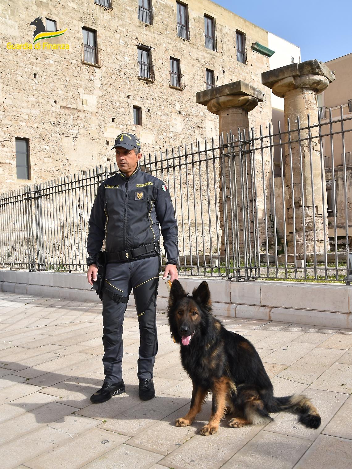Il cane anti-droga della Finanza
