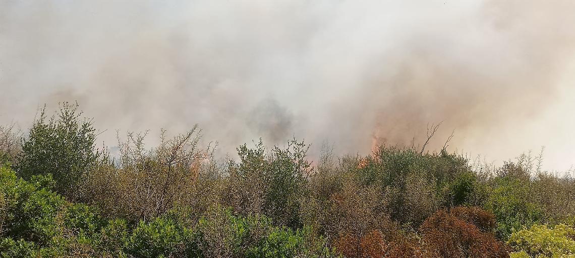 Vasto incendio a Martina Franca