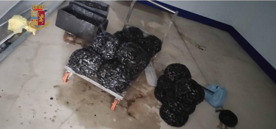 Le cozze pericolose sequestrate