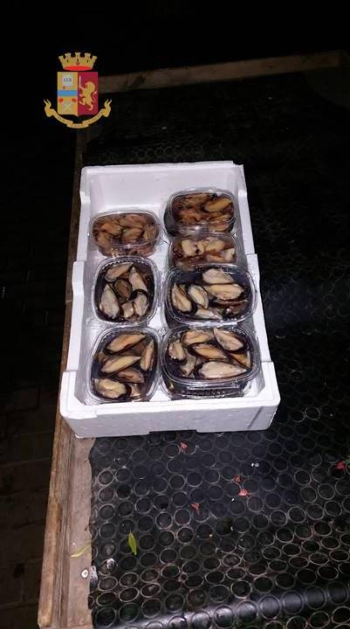 Caso cozze, “Dati Asl non aggiornati, serve trasparenza e bonifiche”