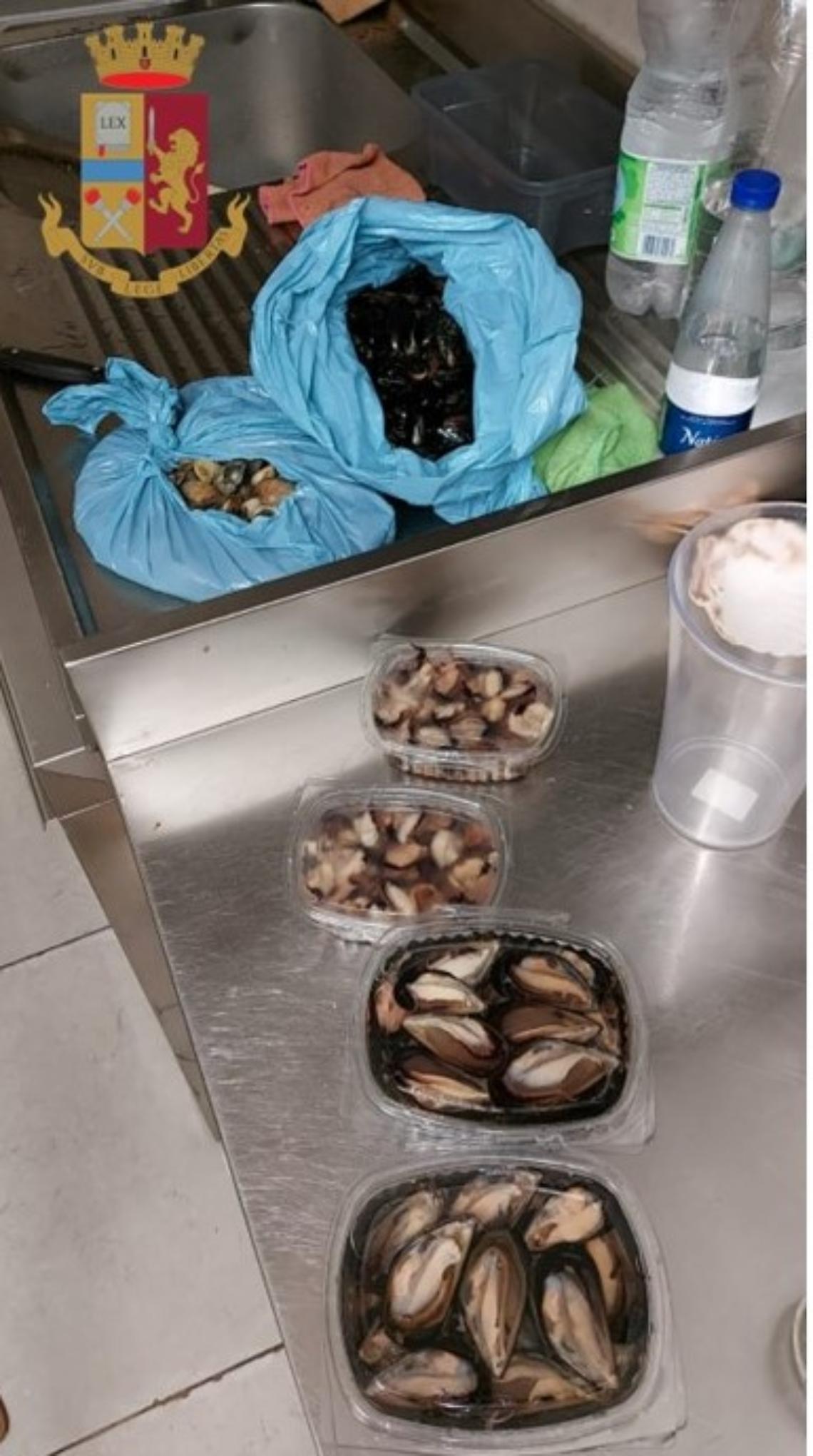 Le cozze sequestrate