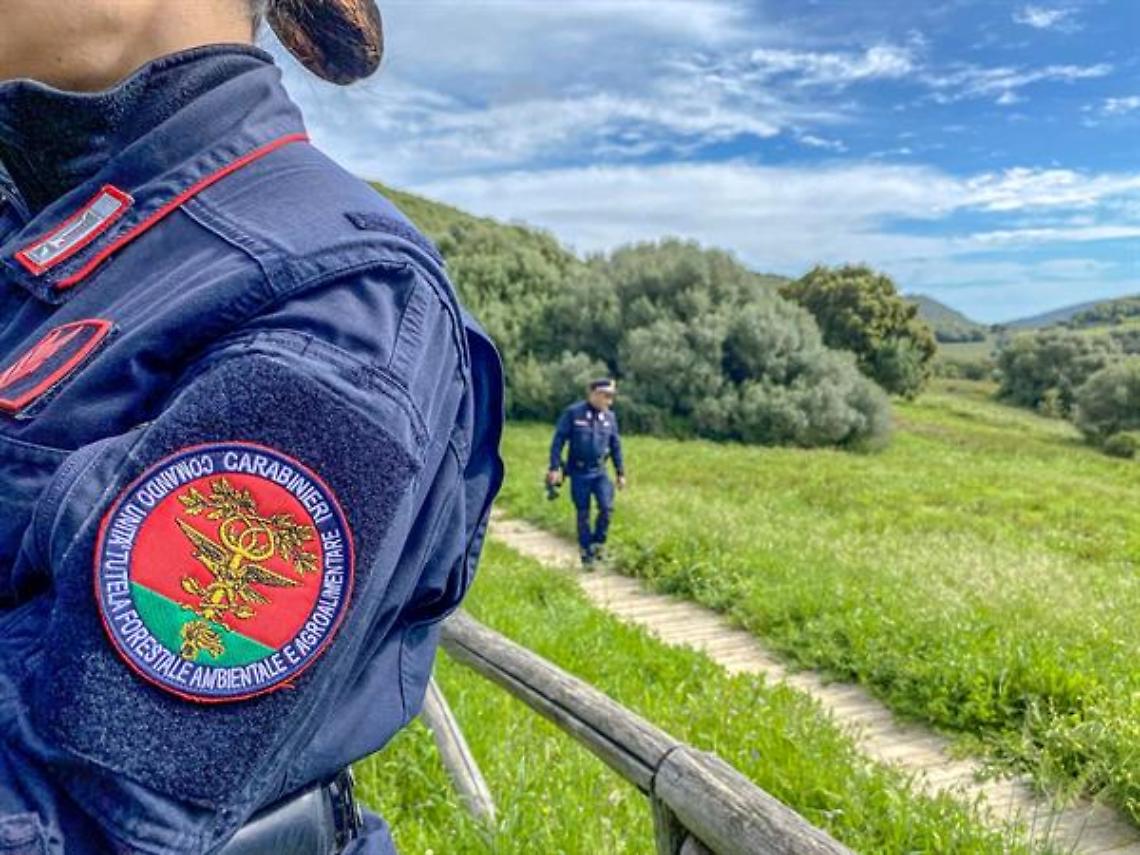 Carabinieri Forestali