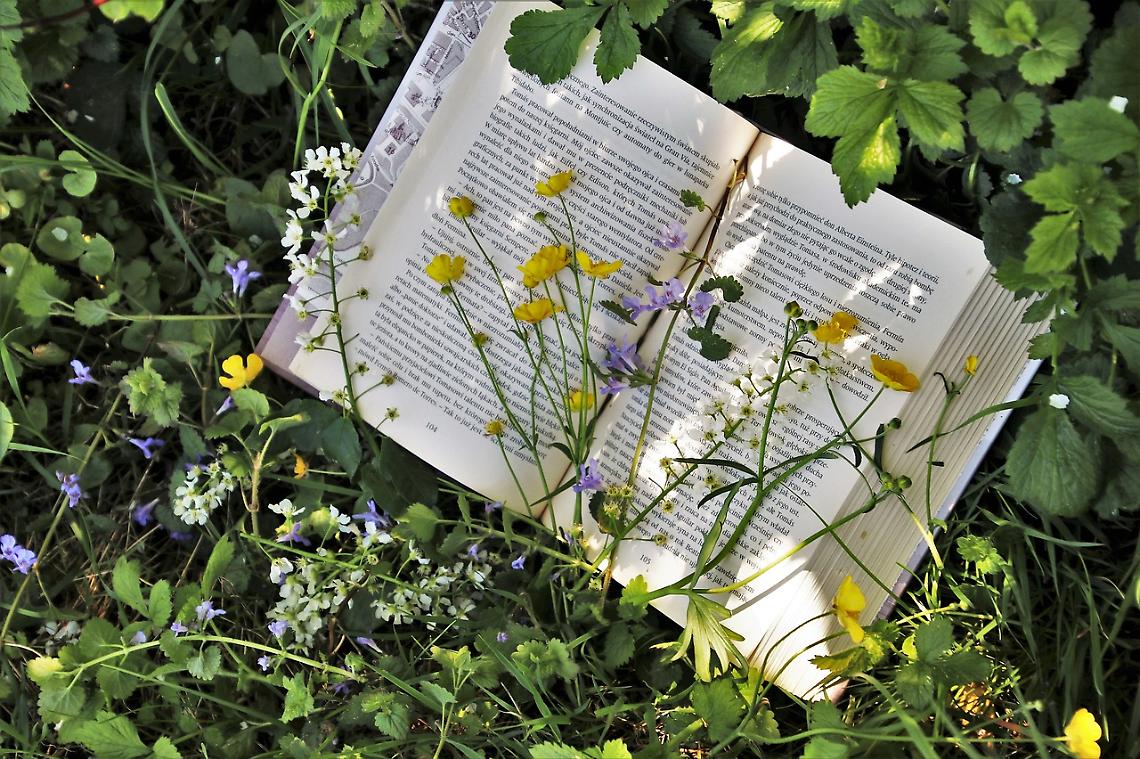 Poesia del Giorno