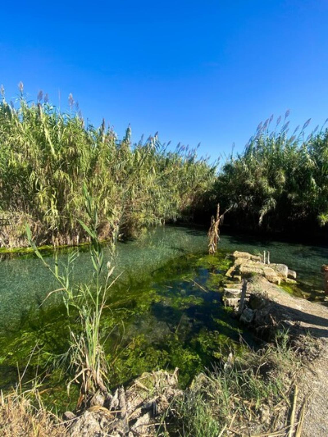 Il fiume Tara