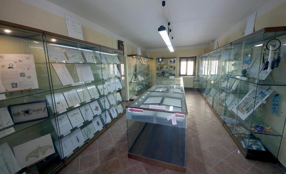 Museo di scienze naturali - foto tratta dal sito del  Ministero della Cultura