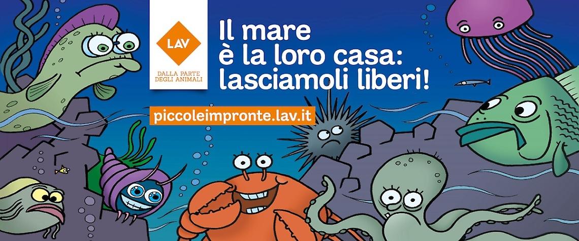 La campagna di lav per sensibilizzare bambini e famiglie al rispetto degli animali del mare e del litorale 