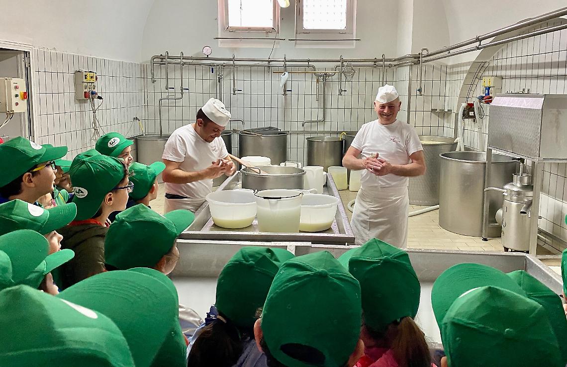 Scuola in fattoria