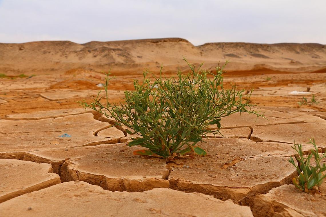 A Taranto un evento internazionale per affrontare il tema dei cambiamenti climatici