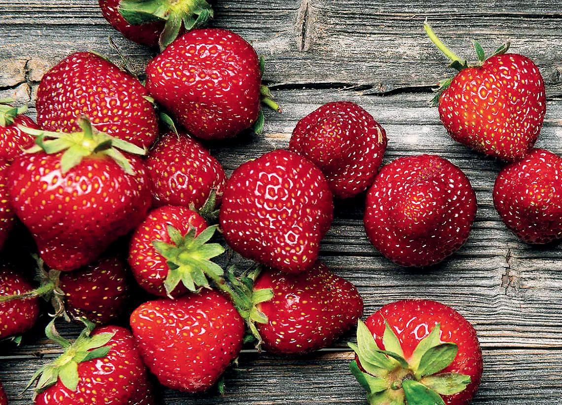 Fragole