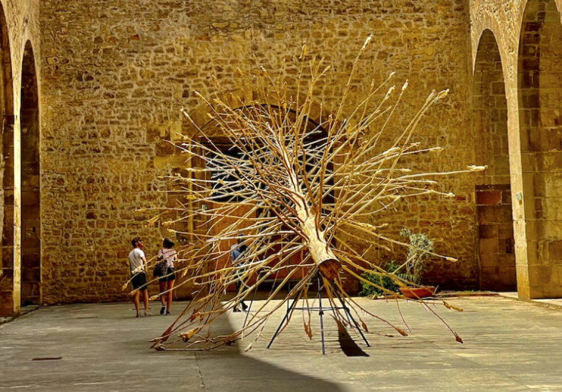 L'albero dei tutti