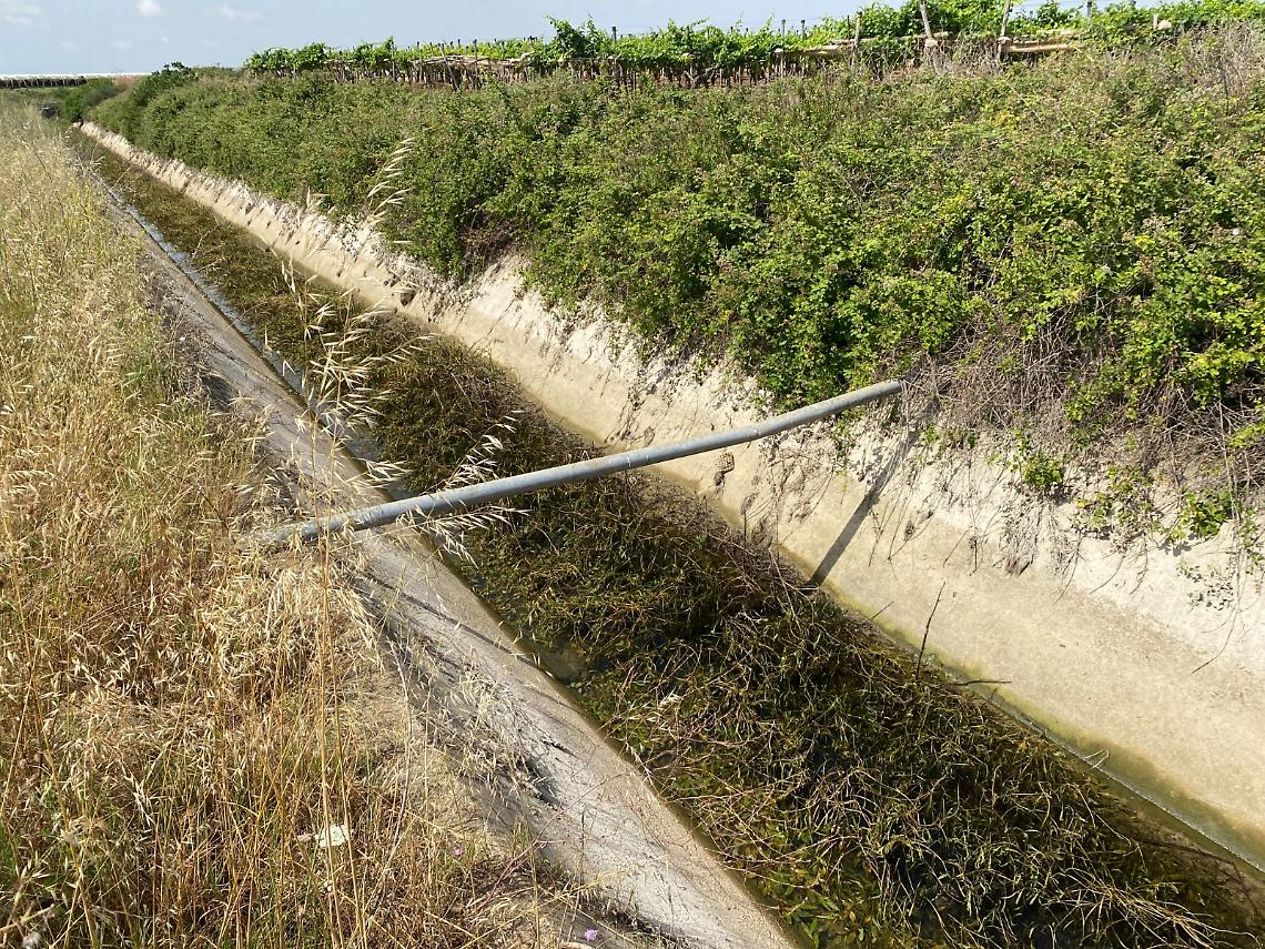 Crisi idrica, chiesto stato di calamità