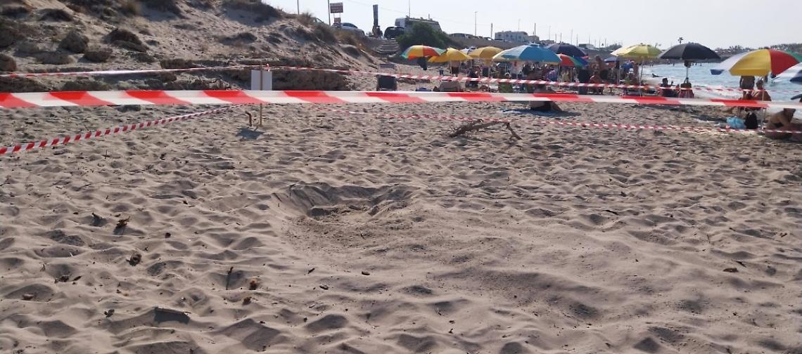 "Torretta mare", la porzione di spiaggia scelta dagli esemplari di tartarughe "Caretta Caretta" per la nidificazione