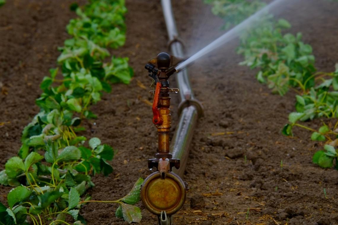 Irrigazione in agricoltura
