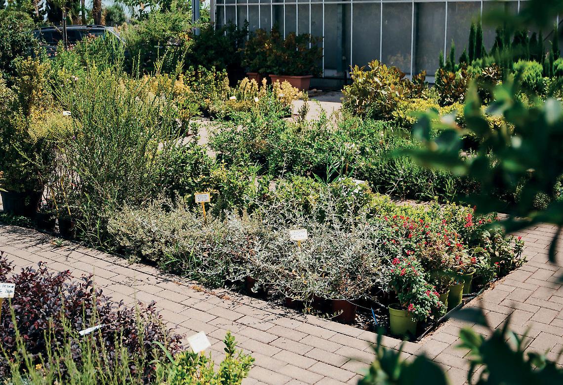 Giardini Resilienti e Clima-Adattivi