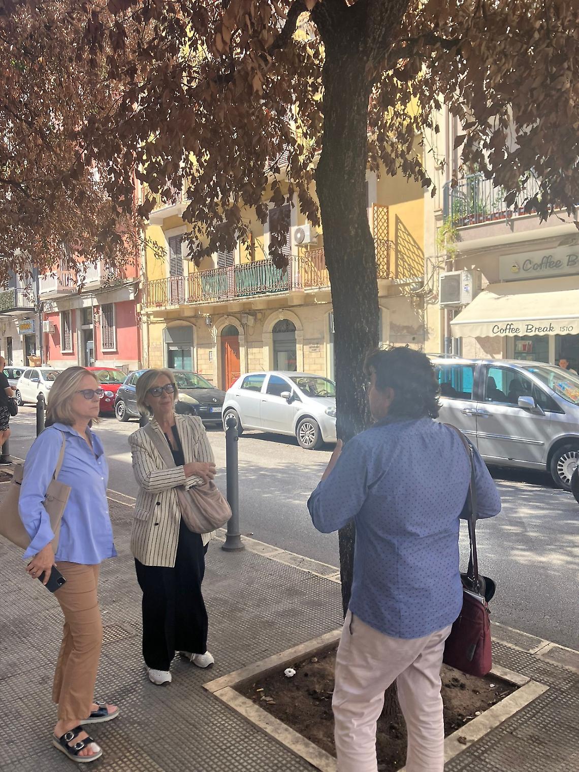 Verde pubblico, il sopralluogo nel quartiere Libertà di Bari