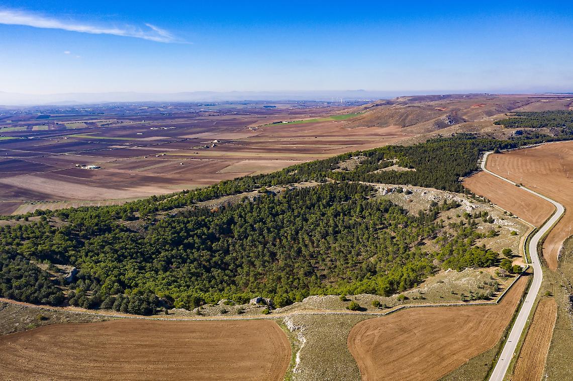 Il Parco dell'Alta Murgia