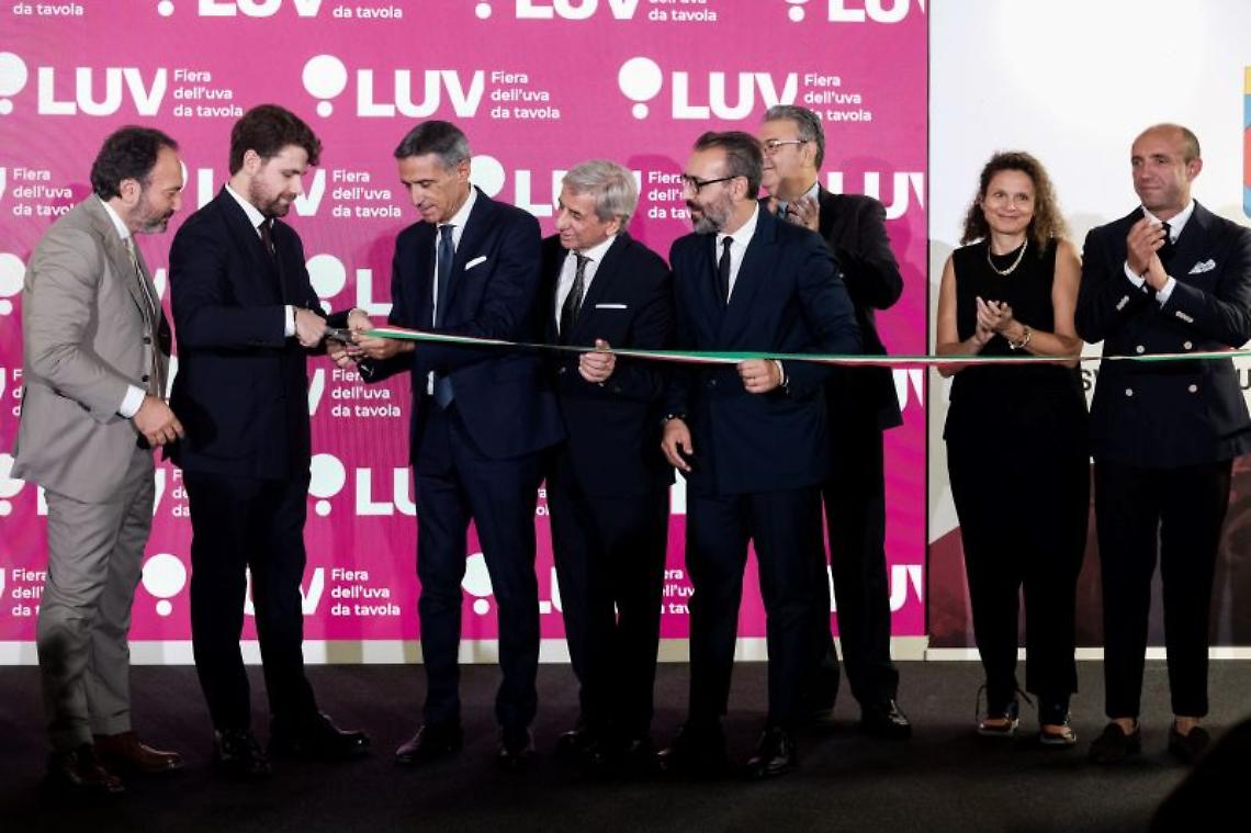 Inaugurata la "Luv Fiera", la prima Fiera dell'uva da tavola a Bari
