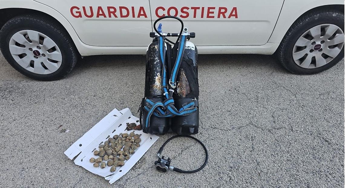 L'attrezzatura e il pescato sotto sequestro