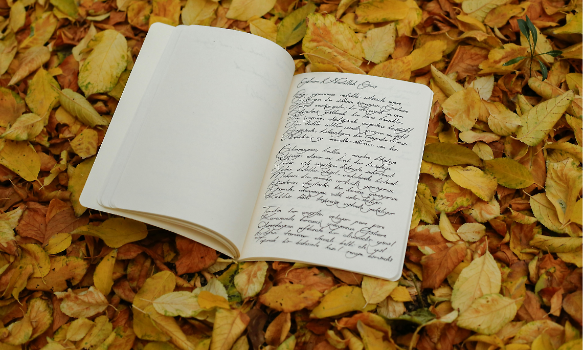 Poesia del Giorno