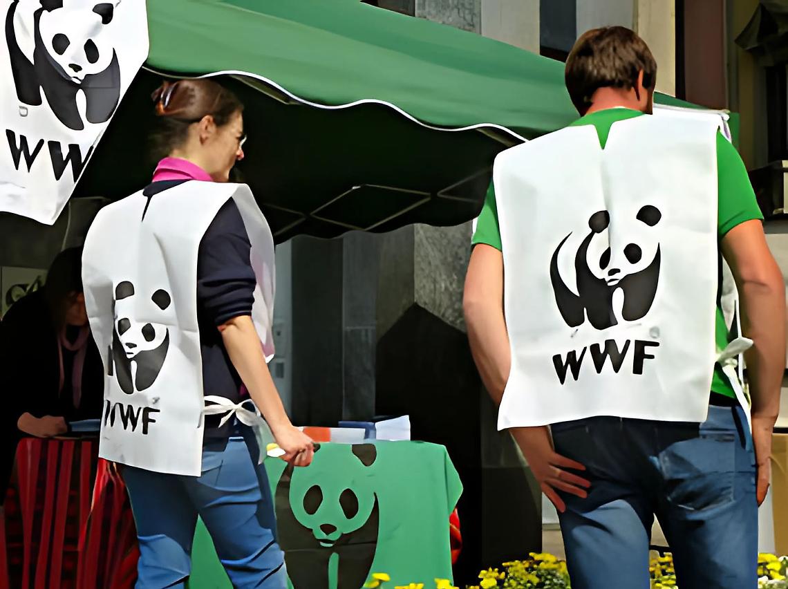 Wwf