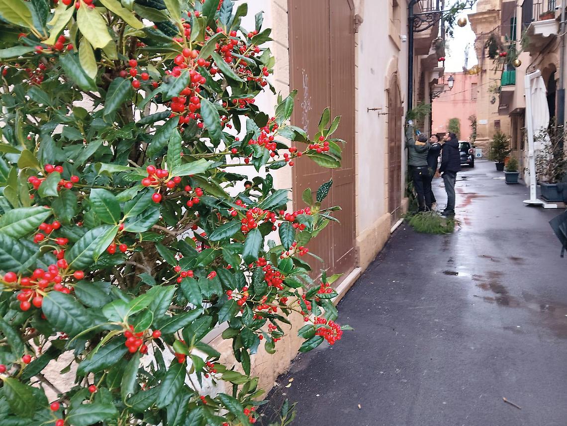 Città Vecchia,  via Duomo  si veste a festa in vista della processione dell’Immacolata e delle iniziative natalizie