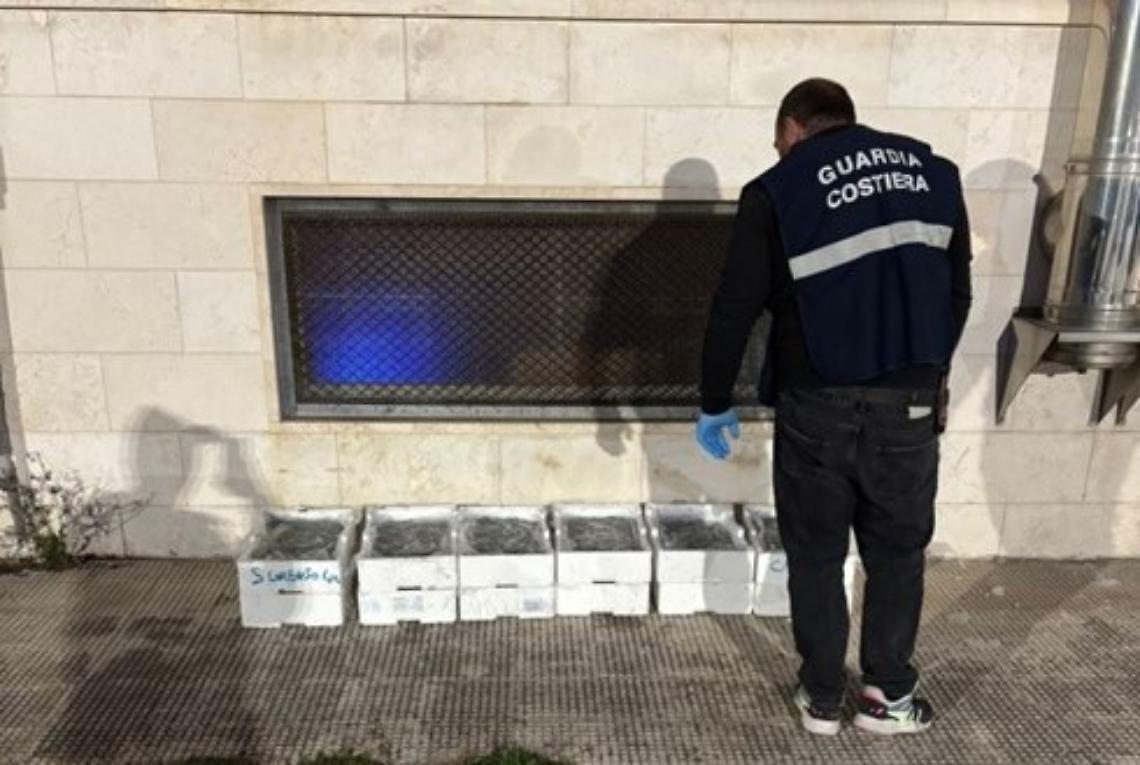 Il novellame sequestrato dalla Guardia costiera a Bari