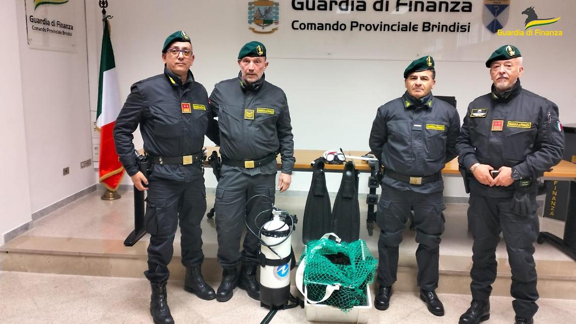 Il sequestro di ricci di mare da parte della Gdf di Brindisi