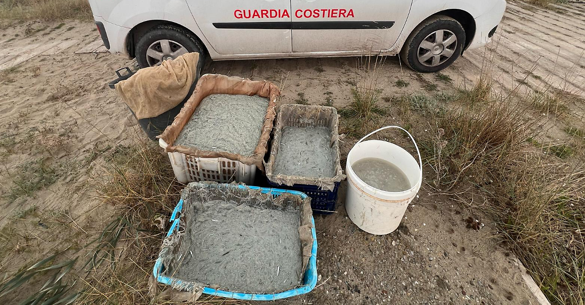 Il "bianchetto" sequestrato dalla Guardia Costiera di Taranto