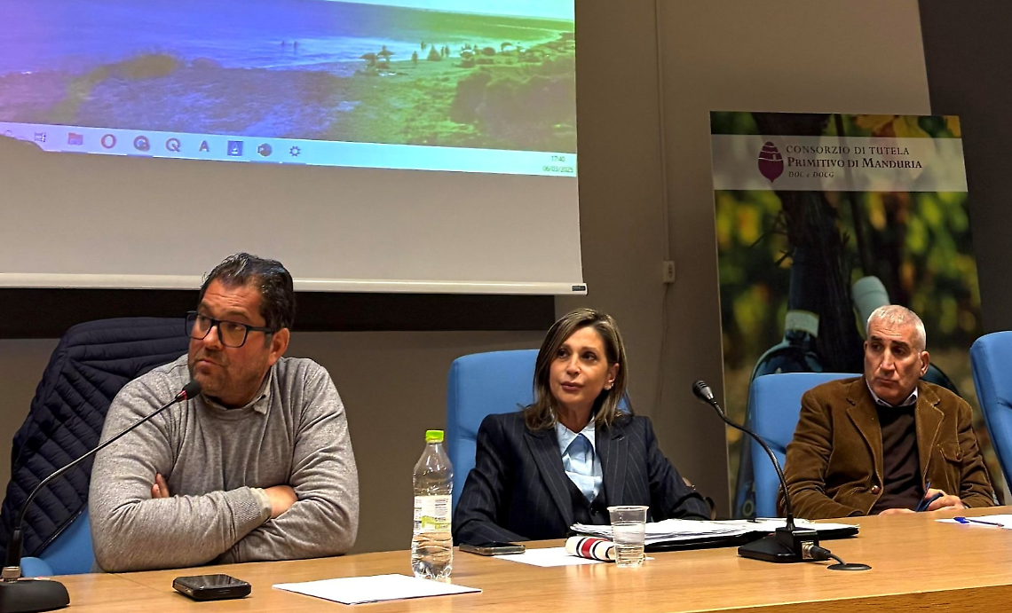 L'assemblea 