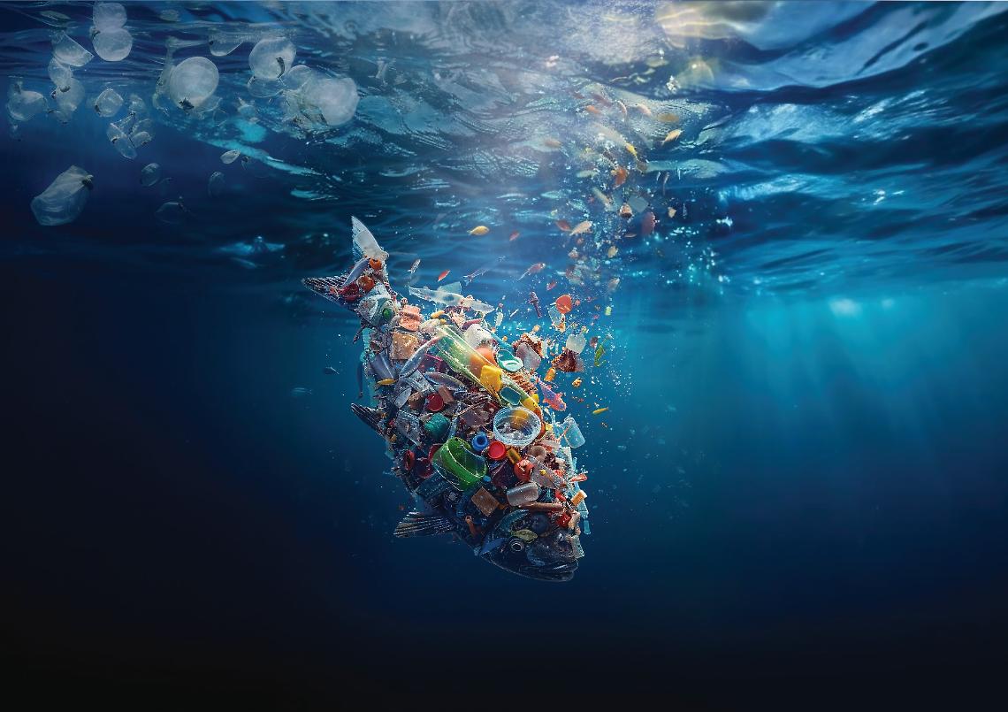 Inquinamento marino a causa della plastica