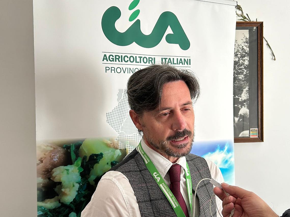 Massimo Fragassi