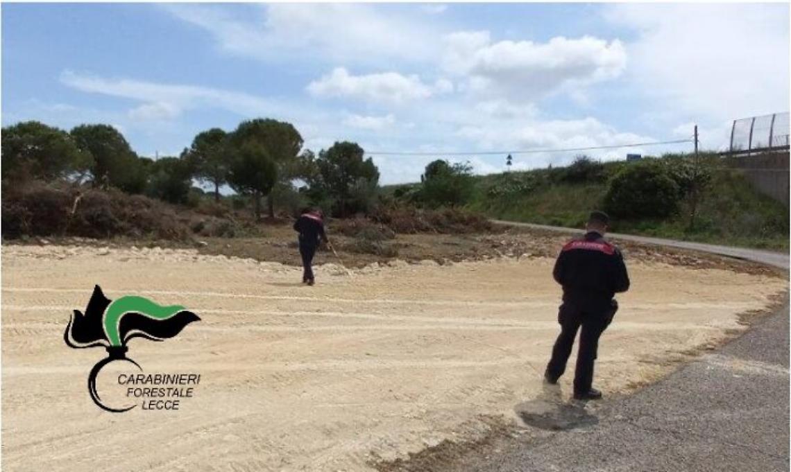 Il sequestro dei Carabinieri Forestali di Lecce