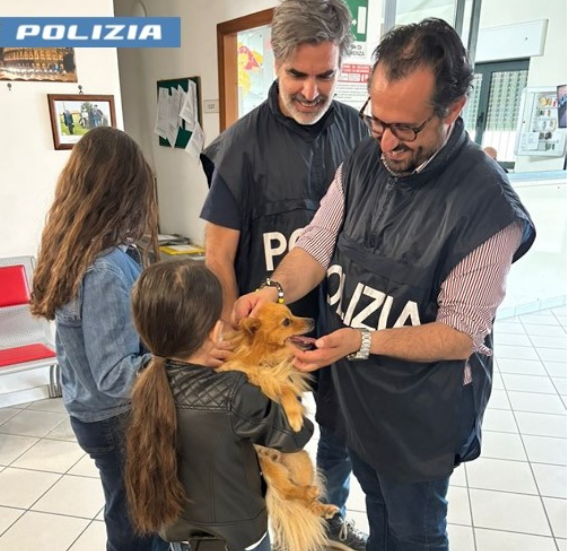 L'animale, un volpino, è stato rintracciato e riconsegnato ai padroni