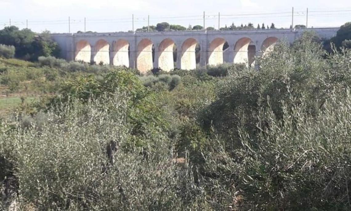 Il Ponte Lama che divide Bisceglie da Trani