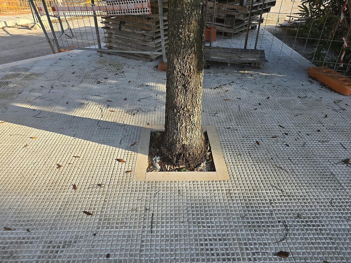 Le aiuole cementificate a Martina Franca