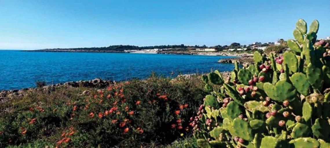 Tramontone mare