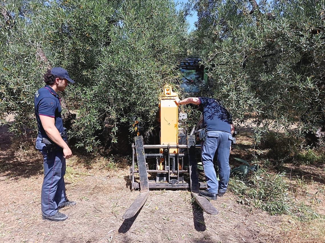 Allarme furti nelle campagne pugliesi, Paolicelli e Pentassuglia si rivolgono al Prefetto: “Subito un piano di sicurezza”