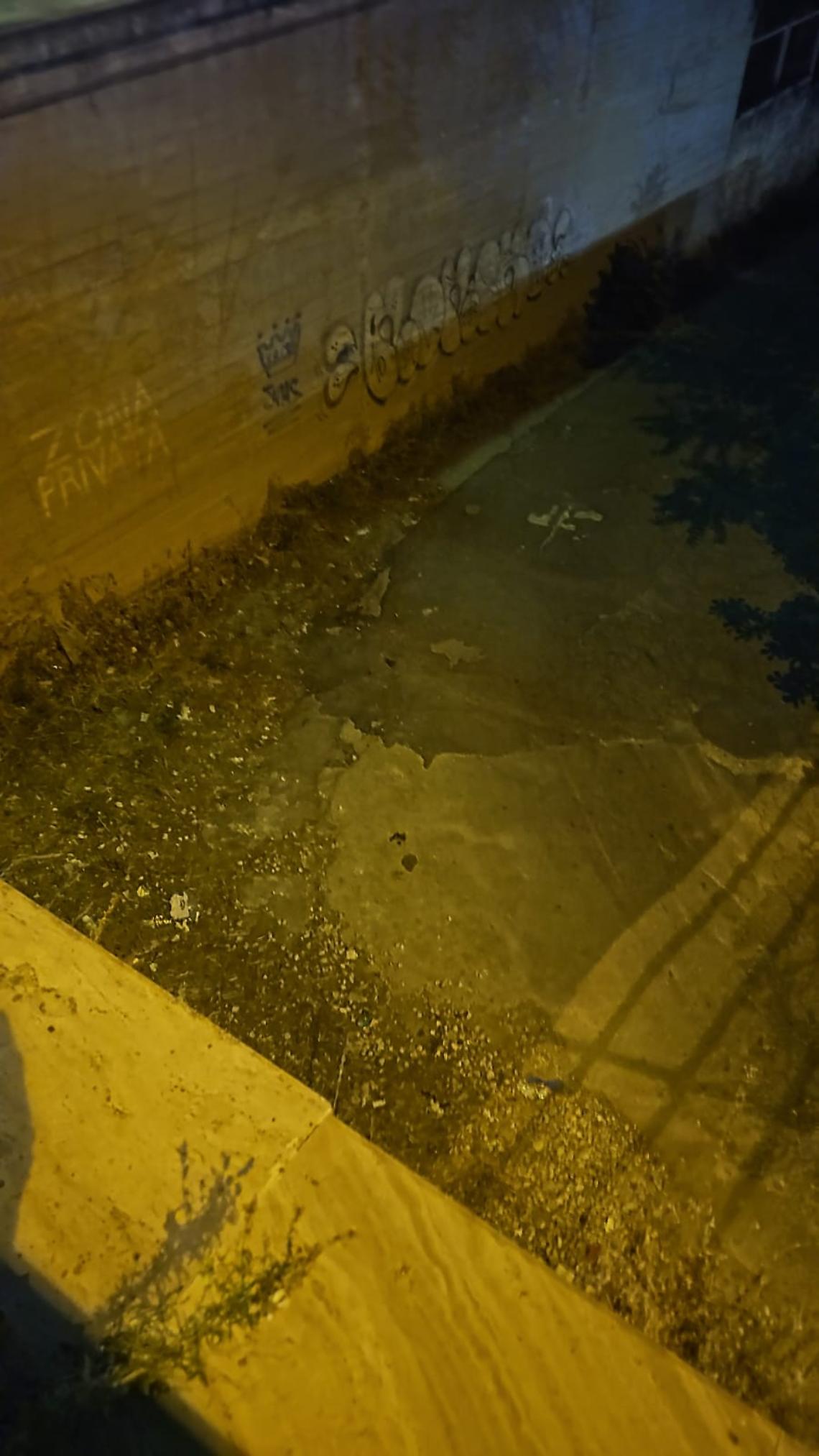 Il luogo dell'intervento della Polizia locale di Taranto